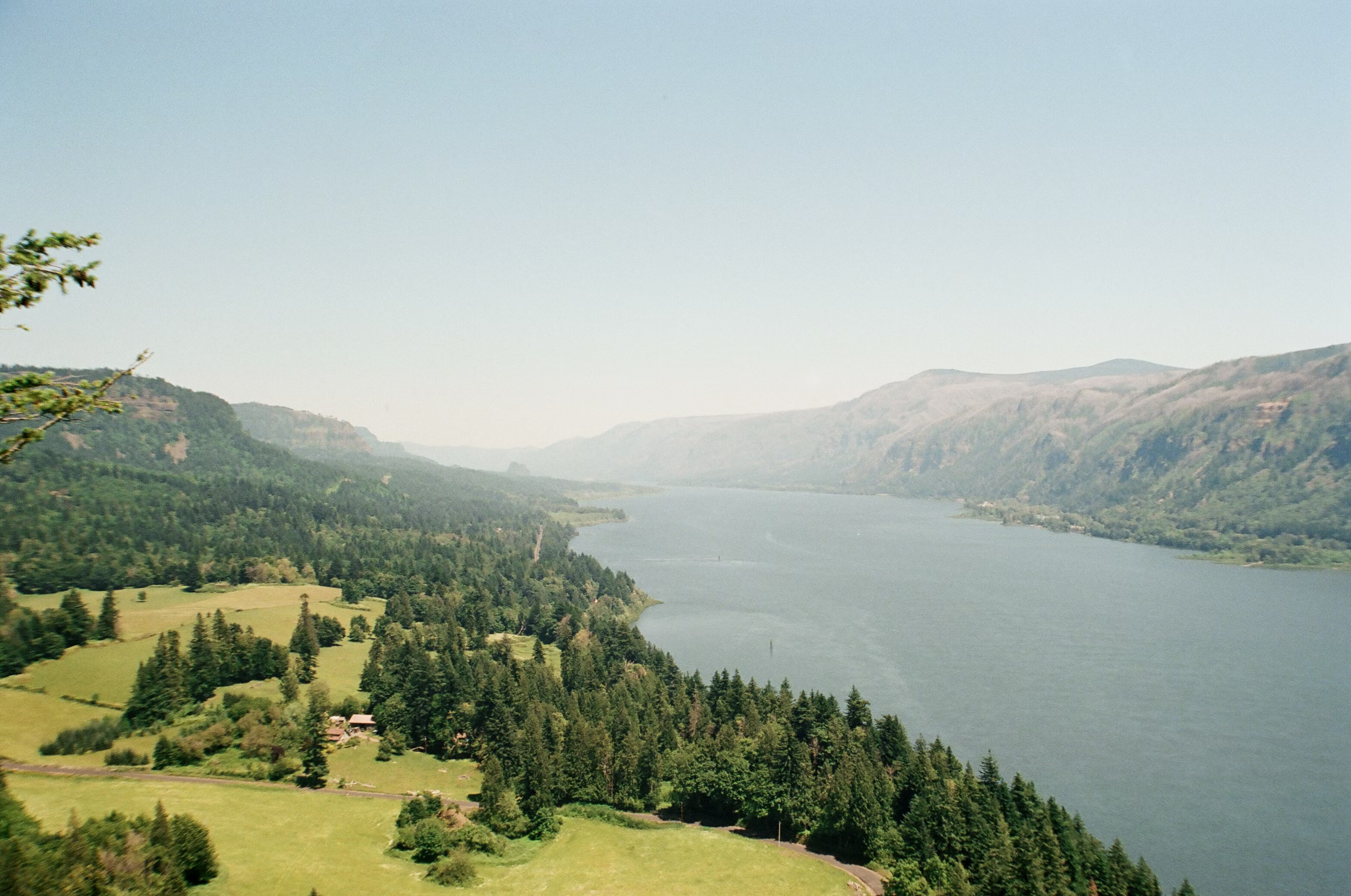 Landscape with trees and lake